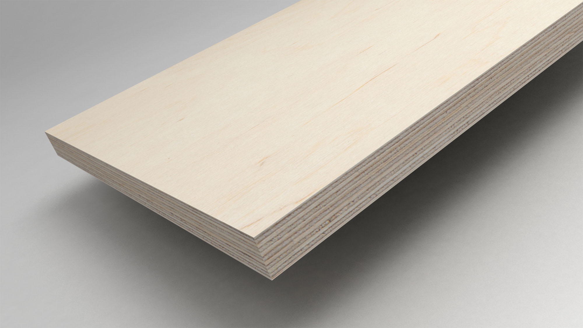 birch plywood